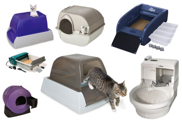 best self cleaning kitty litter boxes