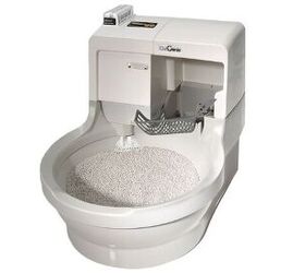 top 10 self cleaning kitty litter boxes