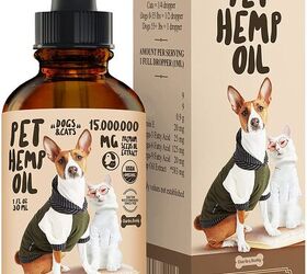 Best CBD Oils For Dogs | PetGuide