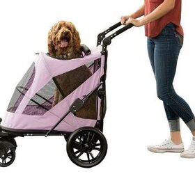 pet gear excursion