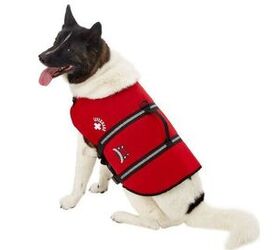 paws aboard lifeguard neoprene dog life jacket