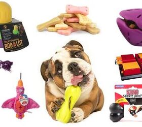 Starmark Treat Dispensing Bob-a-Lot Dog Toy, All Breed Sizes (Pack of 1)