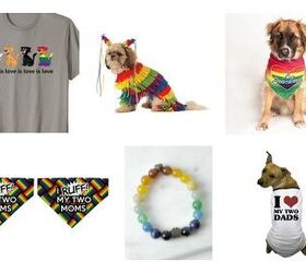 Top 10 Fabulous Pride Essentials For Dogs