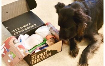 Product Review: BarkBox Super Chewer Subscription Box