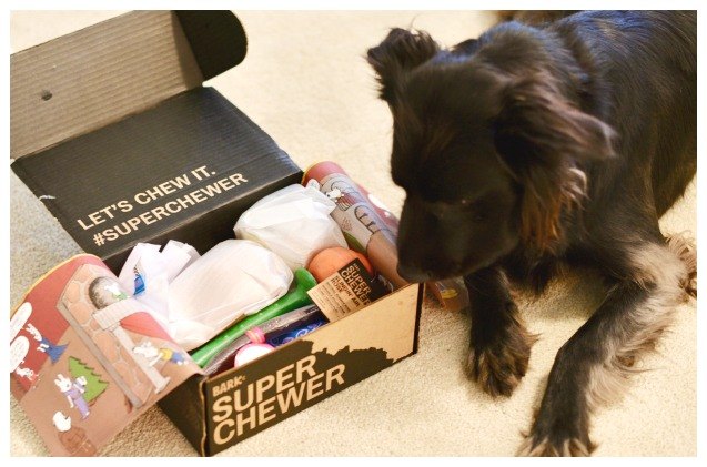product review barkbox super chewer subscription box