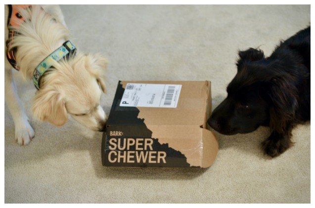 product review barkbox super chewer subscription box