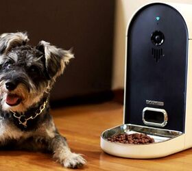 Best Automatic Feeders for Dogs