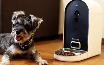 Best Automatic Feeders for Dogs