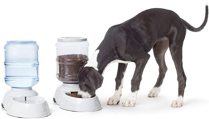 best automatic feeders for dogs