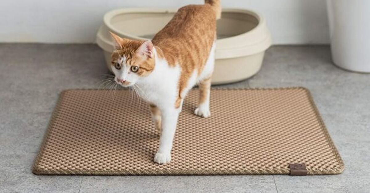 Best Cat Litter Mats | PetGuide