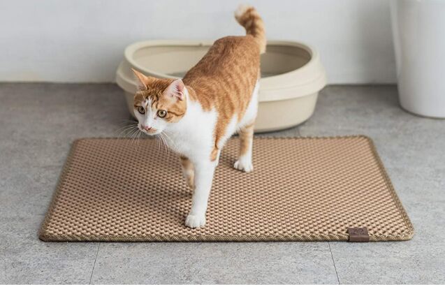 best cat litter mats
