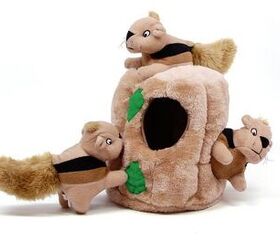 Top 10 Best Toys For Puppies PetGuide   Media 