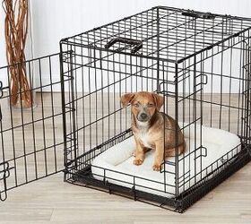 Best Dog Crates