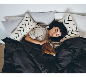 Best Mattresses For Sleeping With Your Dogs