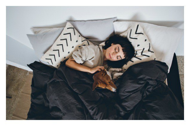 best mattresses for sleeping with your dogs