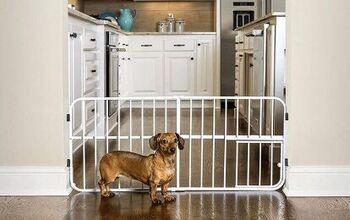 Best Dog Gates for Indoor and Outdoor Use