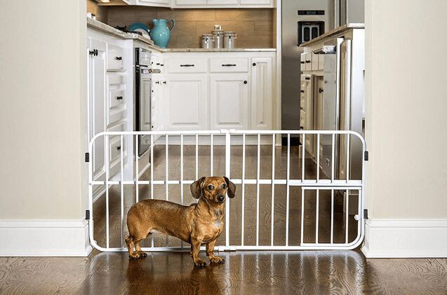 best dog gates for indoor and outdoor use