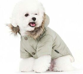 top 10 best winter jackets for dogs