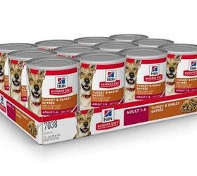 best canned dog foods