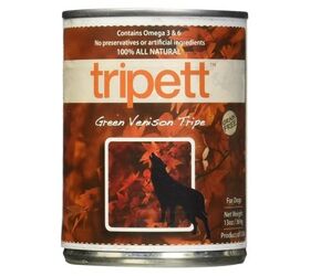 best canned dog foods
