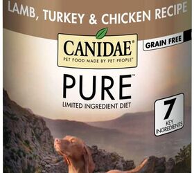 Best canned dog food with grain best sale