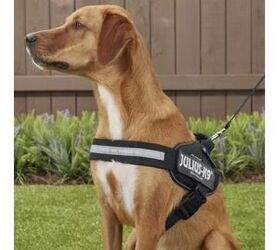 dog harness for extreme pullers