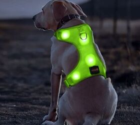 Lucky Love Dog Harness Adjustable Custom Fit Small to Medium Easy Walk Training Vest 