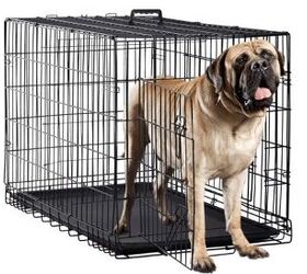 buying guide what are the best large dog crates