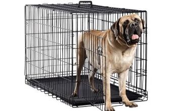 Buying Guide: What Are the Best Large Dog Crates?