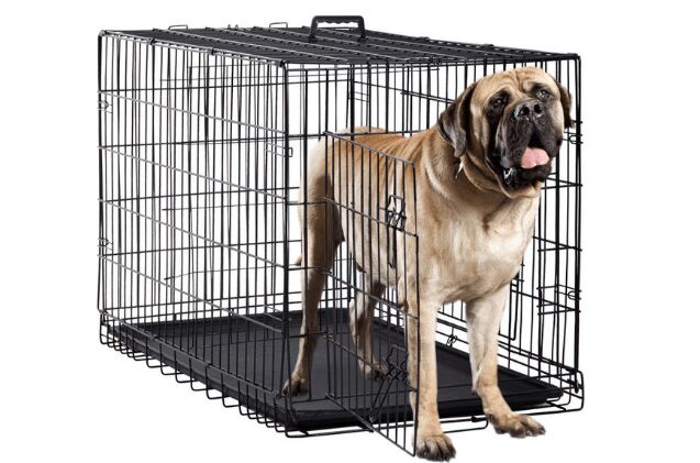 buying guide what are the best large dog crates