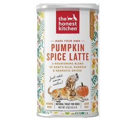 pumpkin spice pet essentials for a perfect fall