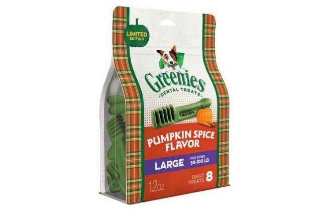 pumpkin spice pet essentials for a perfect fall