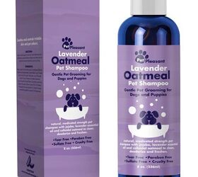 shampoo for dogs to smell good