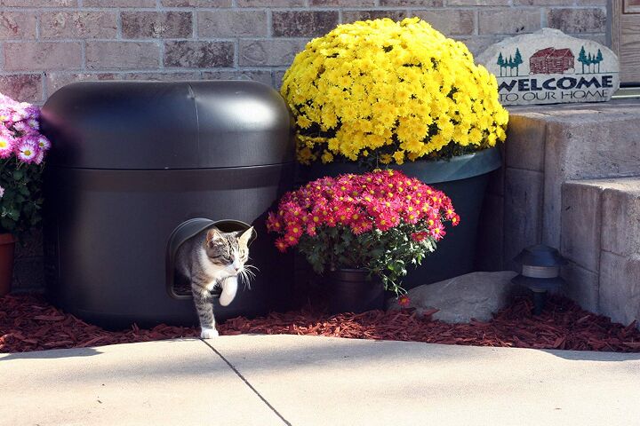 our guide to the best outdoor cat houses