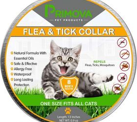 Best Cat Flea Collars PetGuide