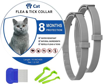 A closer look at Cat Flea Prevention Cheap Online