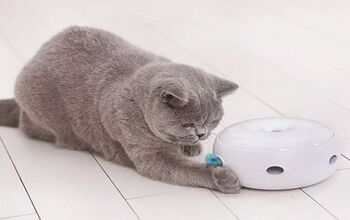 Our Guide to the Best Interactive Cat Toys   
