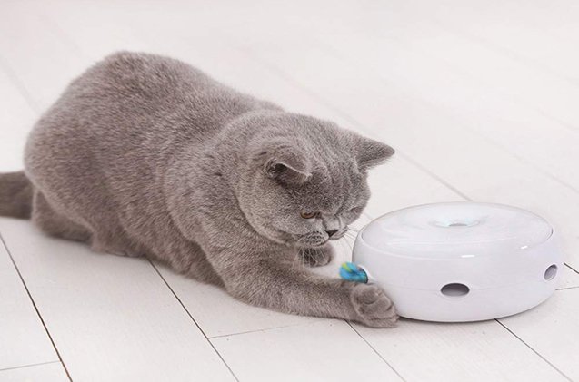 our guide to the best interactive cat toys
