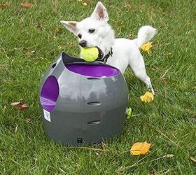 petsafe automatic ball launcher uk