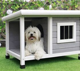 Home Away From Home: Best Outdoor Dog Houses