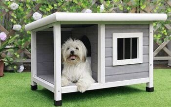 Home Away From Home: Best Outdoor Dog Houses