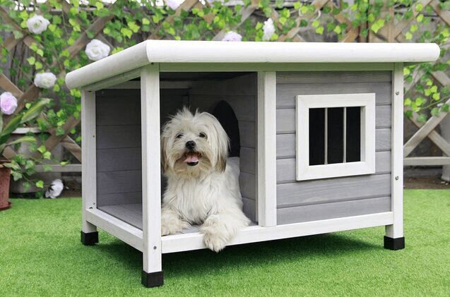 Home Away From Home: Best Outdoor Dog Houses | PetGuide