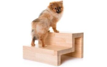 Best Dog Steps and Stairs for Pets With Mobility Issues