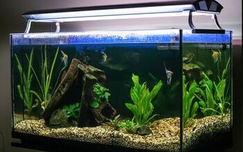 Best Light Fixtures for a Planted Tank