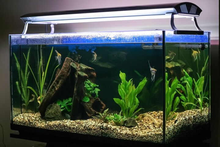 best light fixtures for a planted tank
