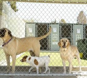 ALEKO Chain Link Dog Kennels Variation Family 