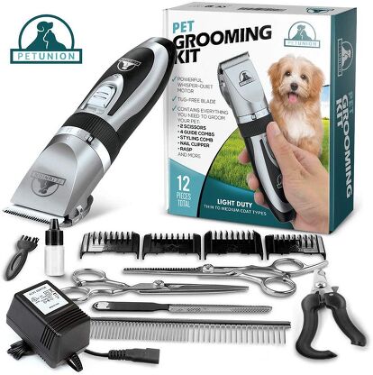 Best Dog Grooming Clippers for Home Use | PetGuide