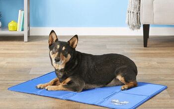 Buying Guide: Best Cooling Pads and Mats for Dogs