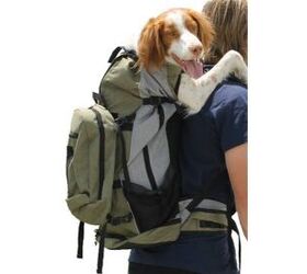 keep calm and carry on dog backpacks for puppers of all sizes