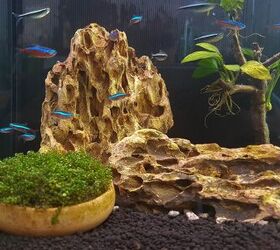 best aquarium filters for a beginner tank